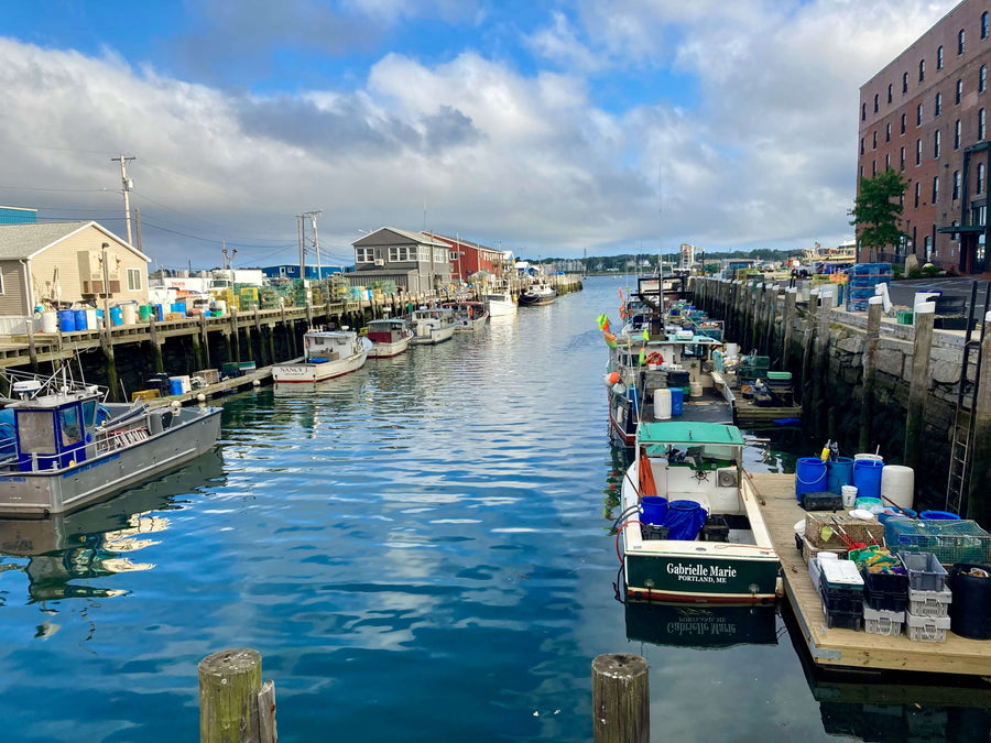Rows of boats on water in Portland Maine|