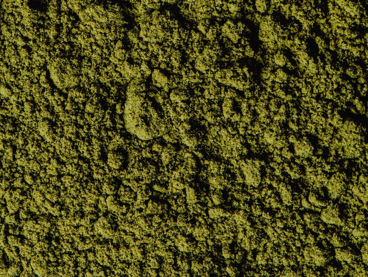 Close-up view of textured green matcha powder