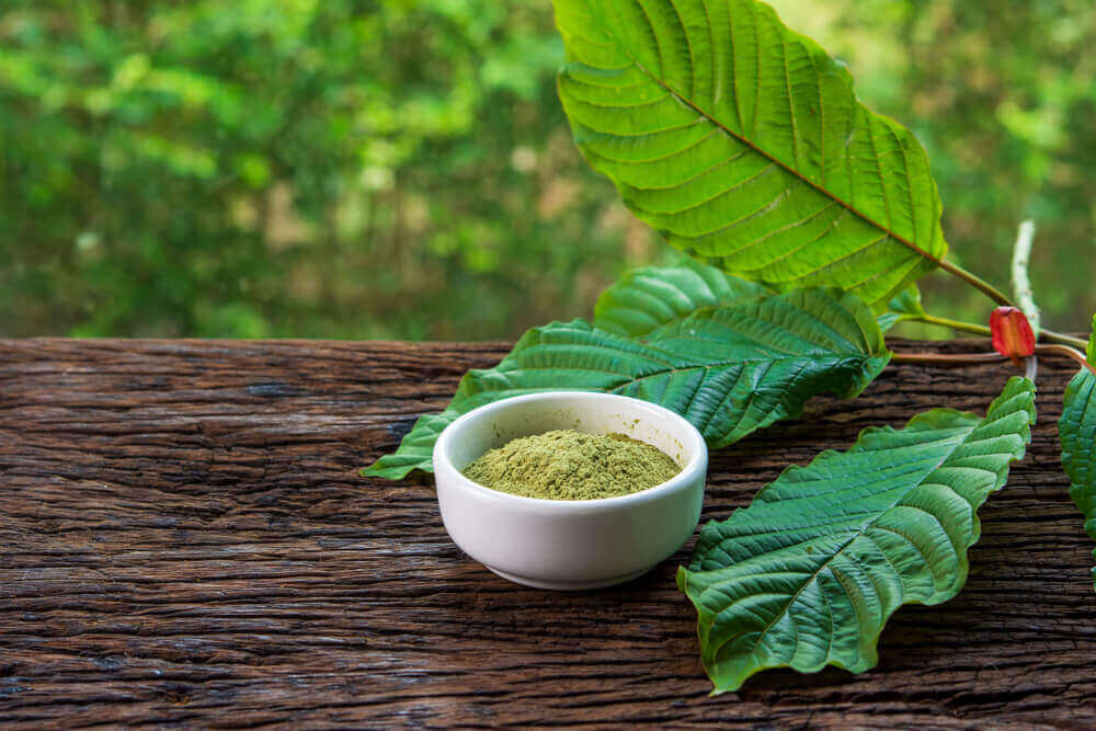 Leaves kratom|A bowl of kratom powder outside next to some kratom leaves|A bowl of kratom powder outside next to some kratom leaves|