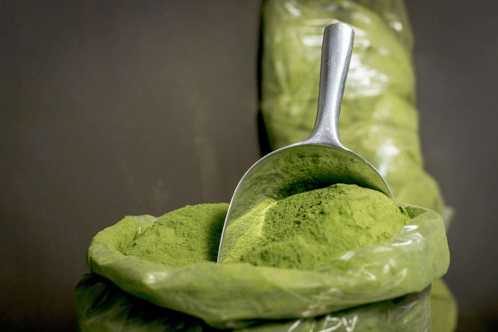 A large silver scoop in a bag of kratom