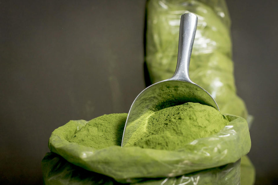 green kratom powder|