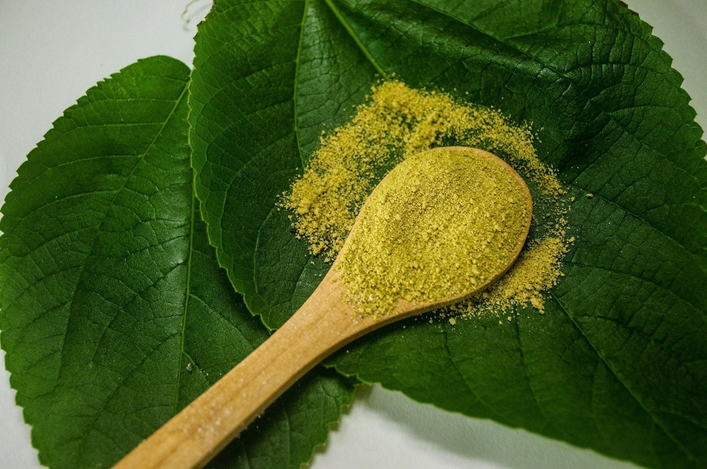 Green kratom powder on leaves|Empty Gelatin Capsules|A white cup of green liquid and two white spoons with a brown and green powder