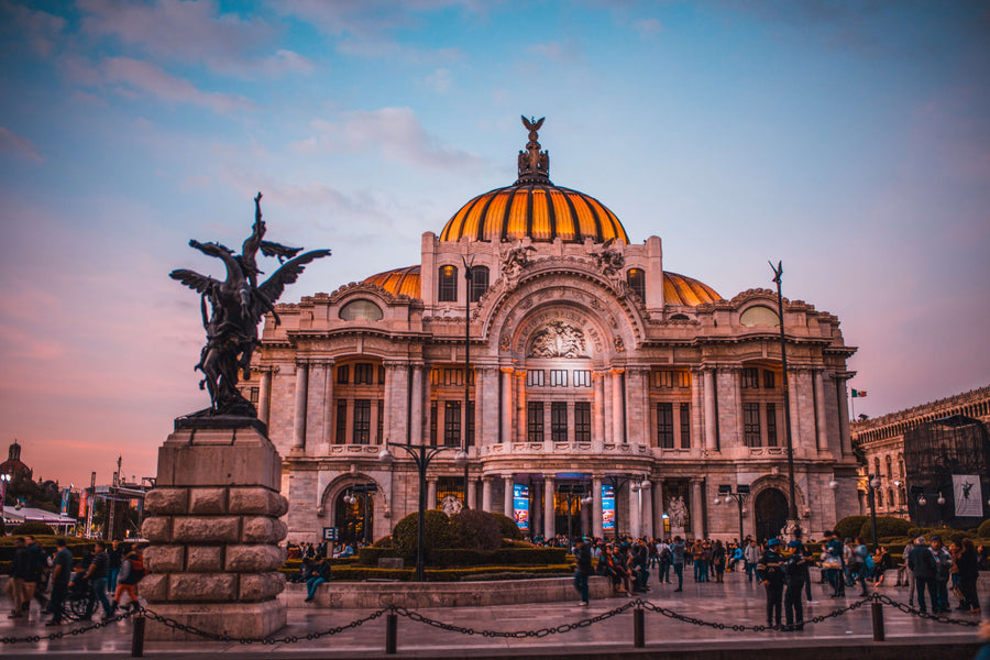 The Palacio de Bellas Artes, Mexico|man using smartphone and laptop