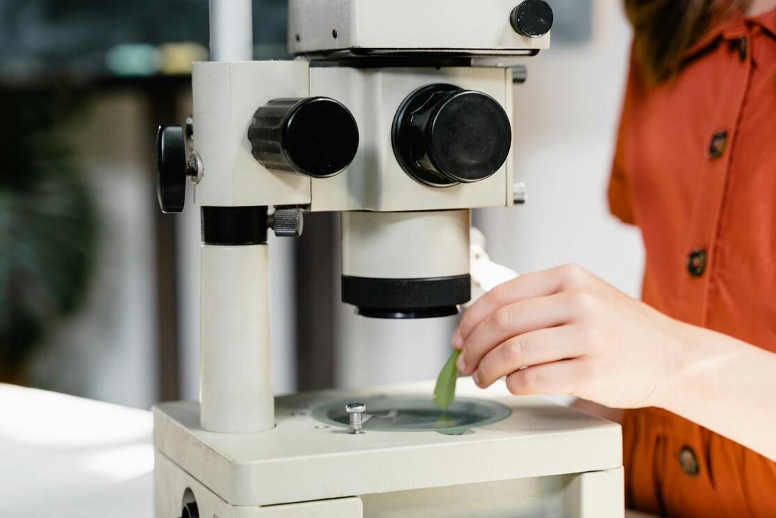 a person holding a green leaf under a microscope|close up of green powder in spoon on leaves