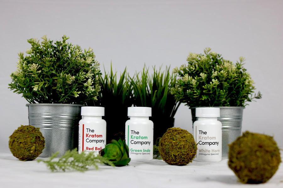 Red, green, and white kratom products from The Kratom Company.|