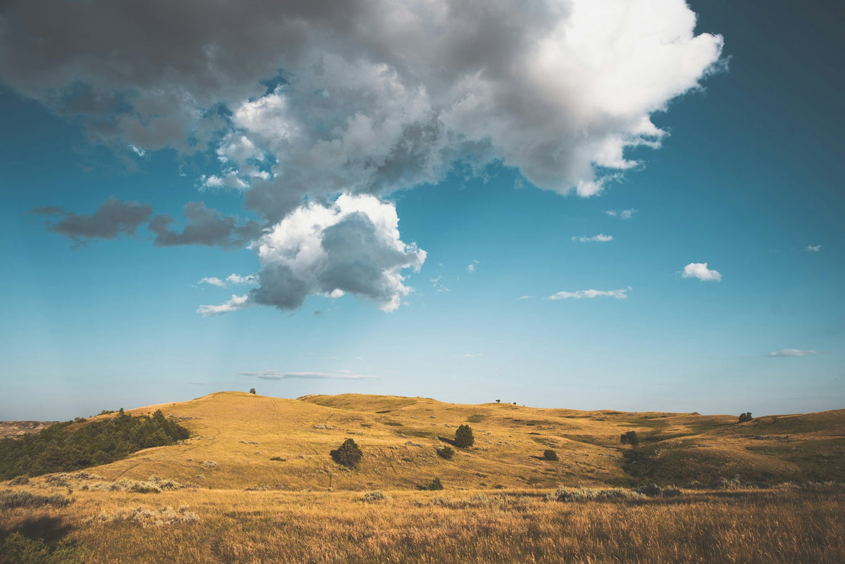 A sprawling brown grass field near where to buy kratom in North Dakota