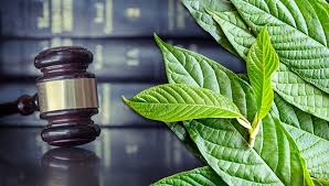 Kratom Legality