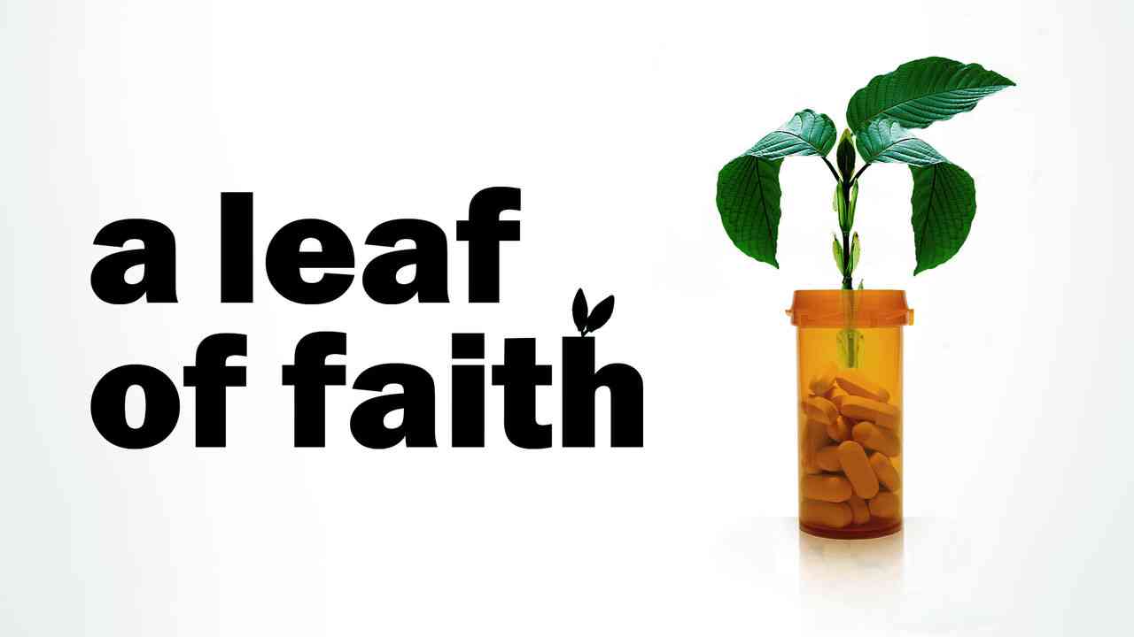 A Leaf of Faith