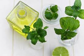 Aerial view of herbs and oils