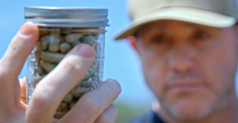 Director Chris Bell examines kratom capsules