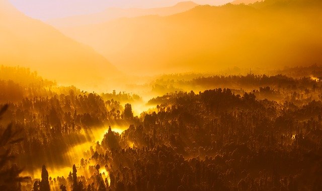 a bird’s eye view of the sunrise over a jungle