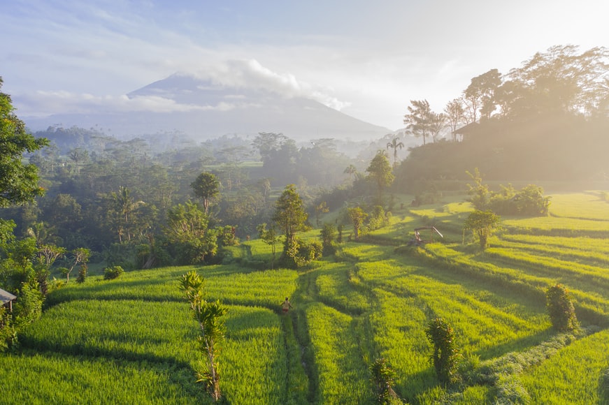 Indonesian countryside