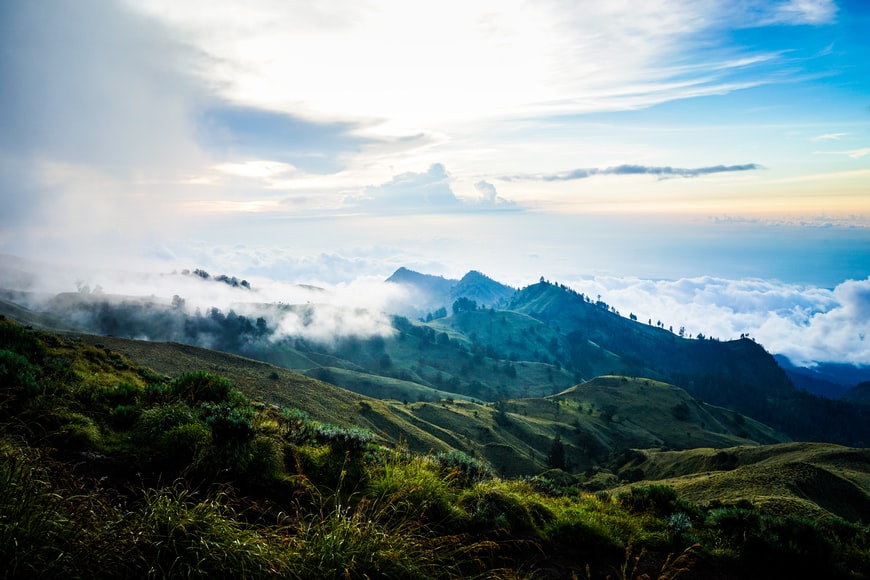 kratom farmland indonesia