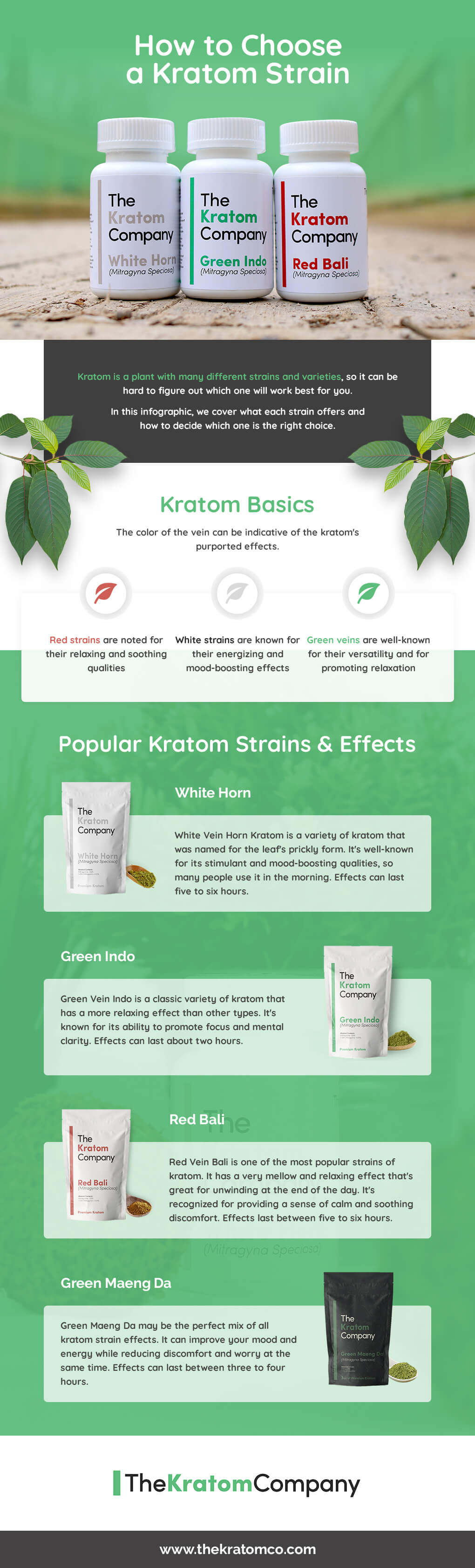 Infographic_How_To_Choose_A_Kratom_Strain_PremiumSupplements