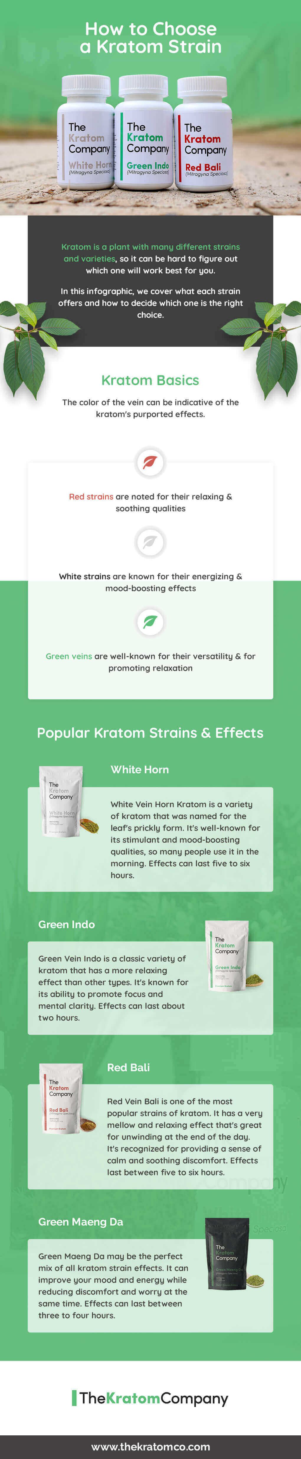 Infographic_How_To_Choose_A_Kratom_Strain_PremiumSupplements
