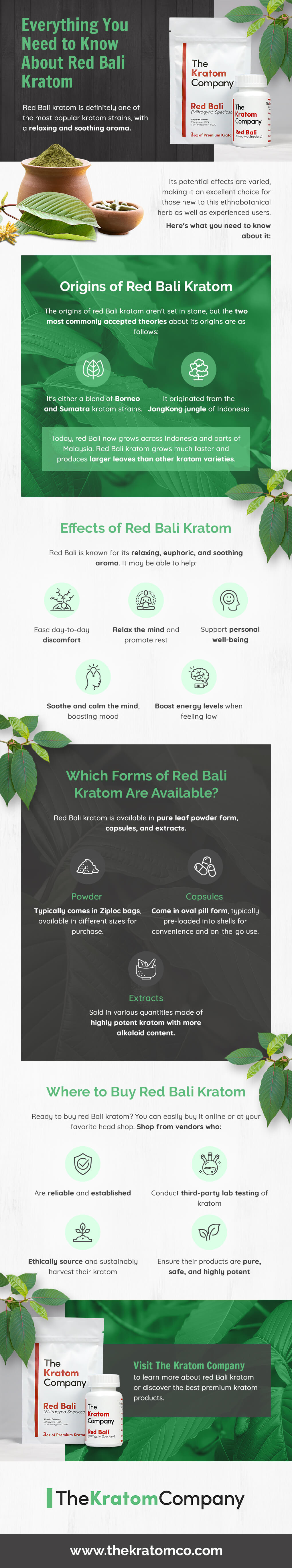 Infographic Everything You Need To Know About Red Bali Kratom