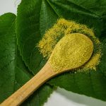 Is Kratom Legal in New Mexico?