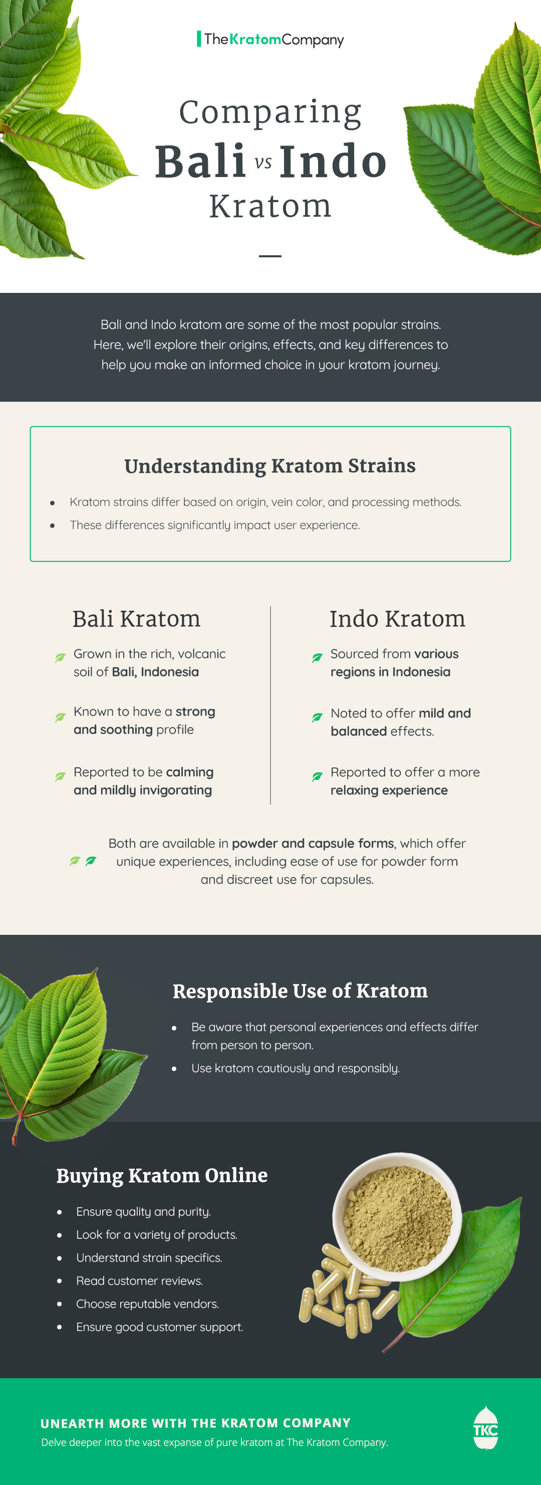 comparing bali vs indo kratom infographic