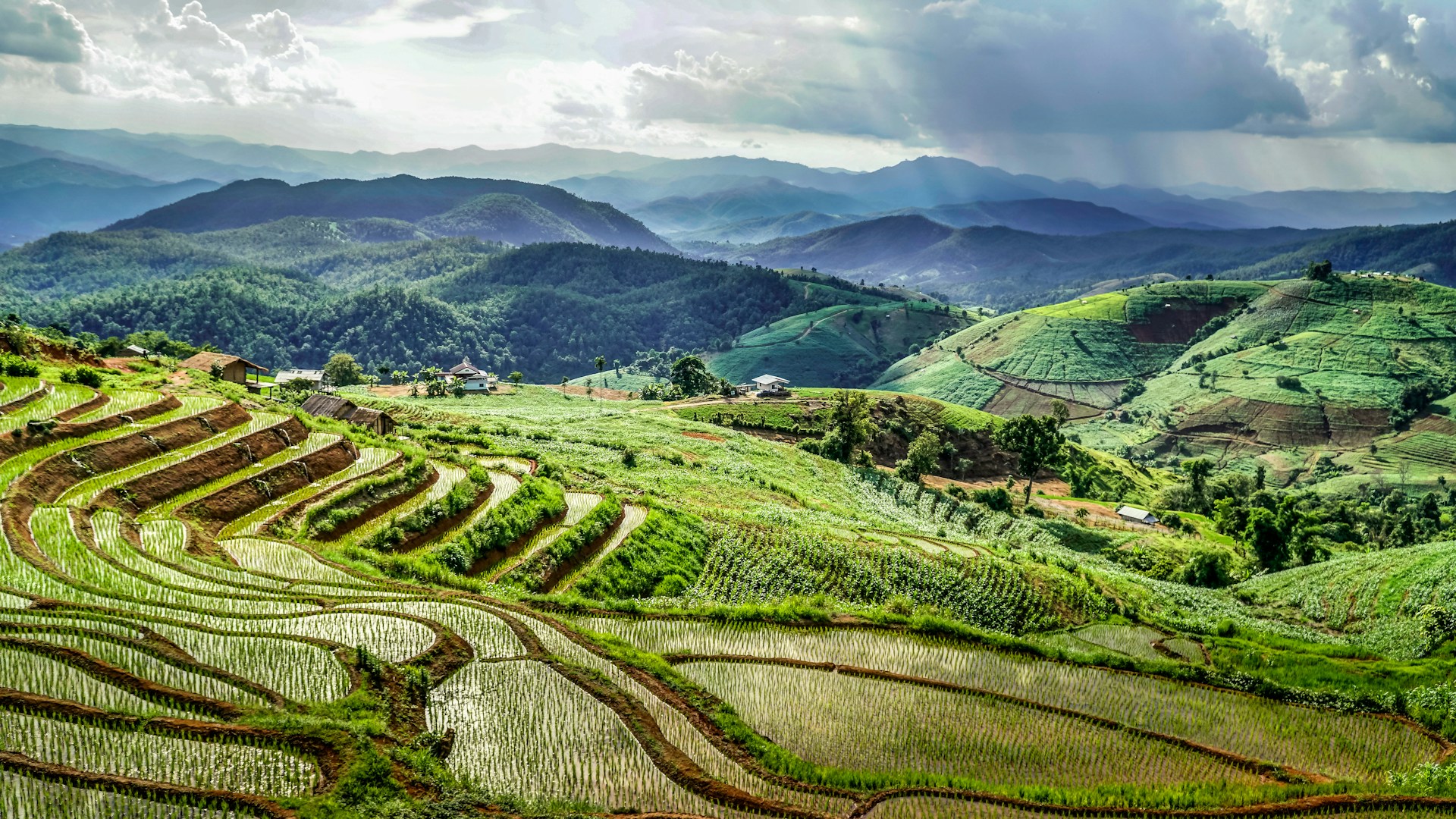 Hills of fields in Thailand