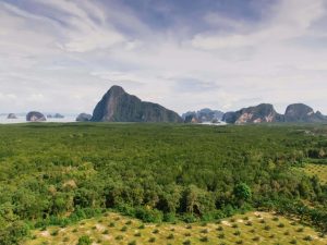 Thailand forest mountains and sea in the background