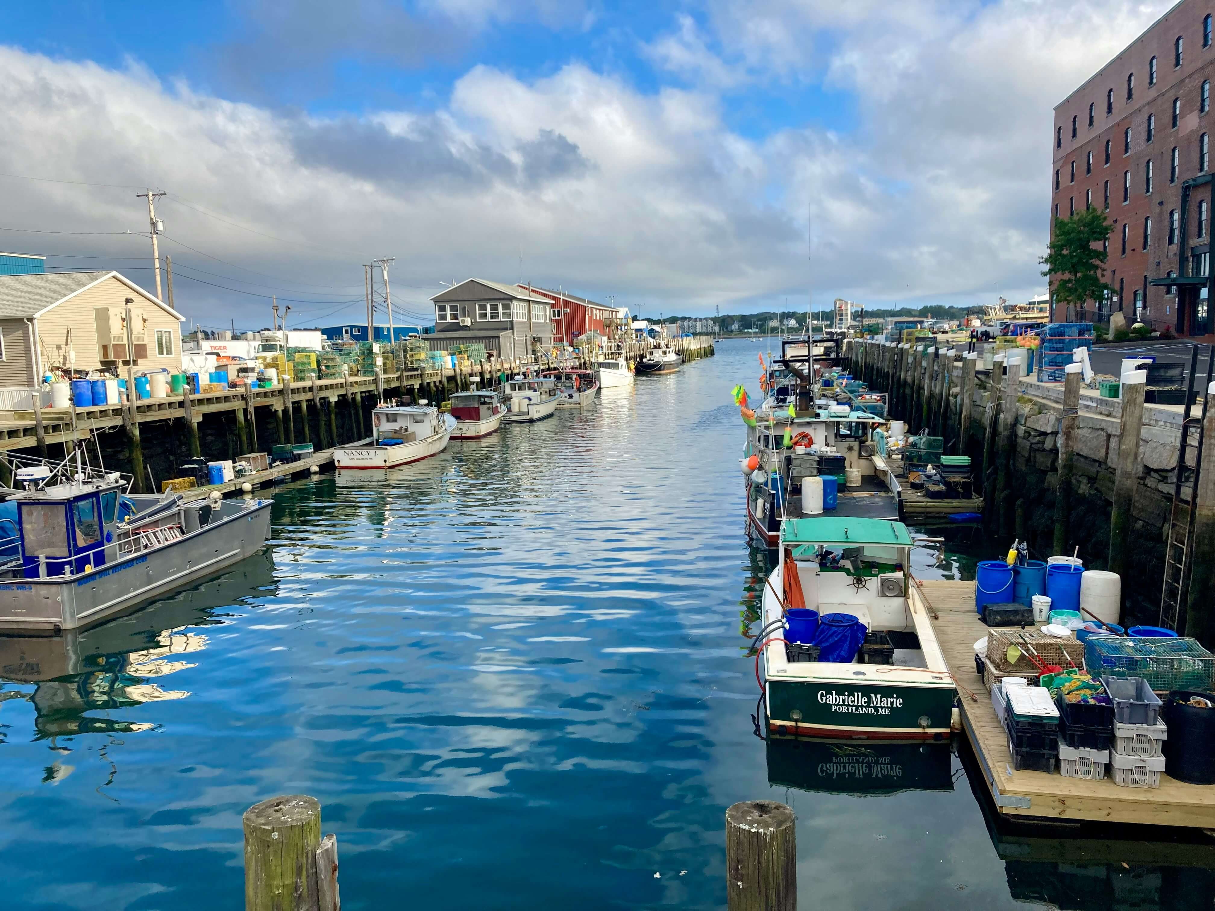 Rows of boats on water in Portland Maine